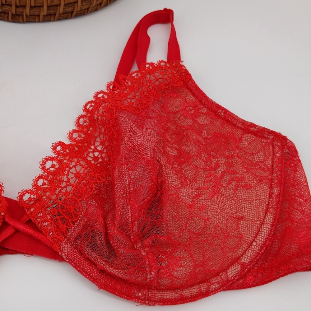Victoria secret lace see though bra_2